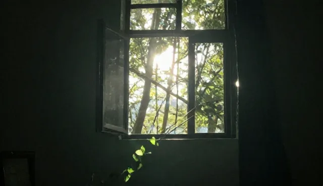 公众号运营如何适应新媒体时代的新趋势